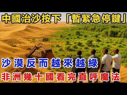 中國治沙按下「緊急暫停鍵」！沙漠反而越來越綠！非洲幾十國看完直呼魔法！