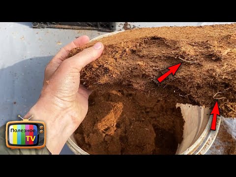 I can't be silent anymore! The whole truth about coconut substrate! Don't use it until you look at
