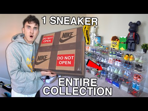 They Offered Me This Sneaker, For My ENTIRE Sneaker Collection....