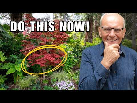 The Only 7 Tips You Need for a Beautiful Landscape in Spring