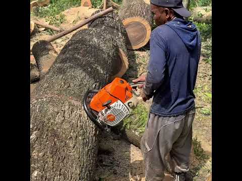 Powerfull chainsaw