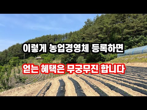 시골땅이 있다면 꼭 확인하세요!! 알아야 돈이 됩니다~