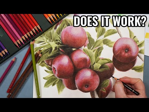 Can you Combine Watercolour Pencils and Coloured Pencil