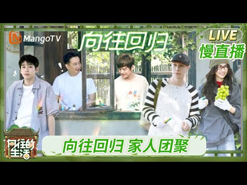 《向往的生活-戏如人生》慢直播 EP01 张艺兴张子枫摘葡萄 又回到了熟悉的蘑菇屋~ | Back To Field · The Stage of Life | MangoTV