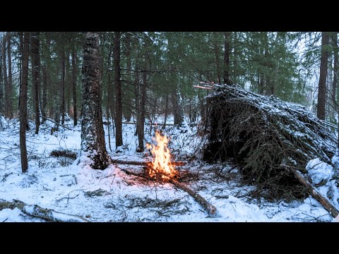 I had only a knife and a cup to survive in the winter forest