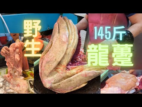 145斤極肥野生龍躉😱怪獸級,巨肥肝/肉質鬆化，油脂超香🤤Monster Giant Grouper cutting skills fishcutting海鮮~社長遊街市Seafood