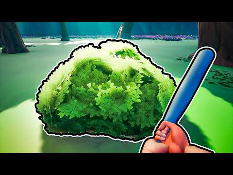 I literally just beat around a bush