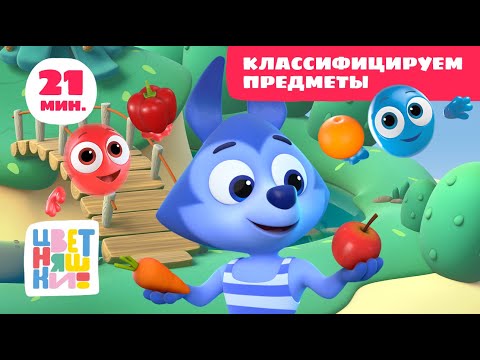 Цветняшки — Учимся классифицировать предметы по признаку — Сборник серий — Развивающий мультфильм