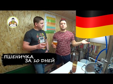 ВАРИМ ПИВО ЗА 10 ДНЕЙ, немецкое пшеничное пиво Вайнштефан | BEER Weihenstephan. Сравниваем дрожжи!