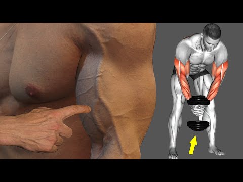Best Exercises To Increase Arm Width Fast 💪