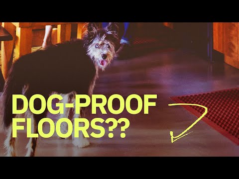 Flooring options for your remodel