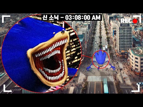 집 밖에서 신 소닉을 포착했습니다..