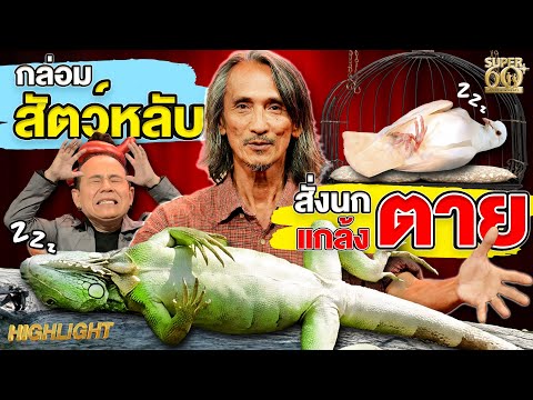 Master level animal training, lulling animals to sleep, pretending to be dead, all possible | HIG...