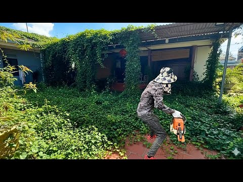 mysterious satisfaction in clearing away the overgrown remains | clean renovation amazing transform