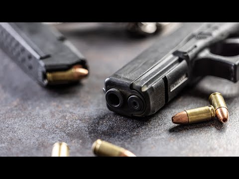 ‘Alarm bells’: Bondi gunman’s firearm licence raises ‘fundamental issues’