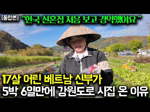 "만난지 6일만에 청혼" 의사 친구도 부러워하는 26살 베트남 며느리가 강원도 농부에게 시집온 진짜 이유(자두커플 통합본)