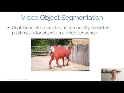 CV3DST - Video object segmentation