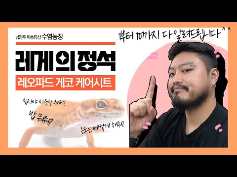 How to raise a healthy leopard gecko!! Here's how to raise one!!