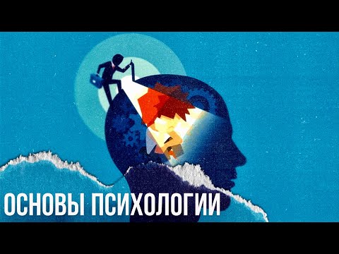 Основы психологии: как начать понимать