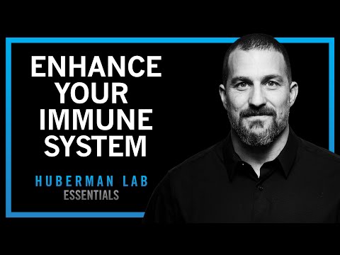 Using Your Nervous System to Enhance Your Immune System | Huberman Lab Essentials