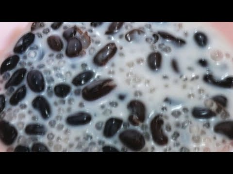 สาคูถั่วดำน้ำกะทิ สอนต้มถั่วดำสุกง่าย สอนต้มสาคูสุกง่าย ขนมไทยทำง่ายขายดี