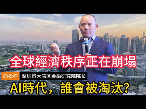 【向松祚重磅警告】全球经济秩序正在崩塌，人工智能，可能不是救赎而是分水岭 #向松祚 #全球经济危机 #人工智能冲击 #经济秩序重构 #AI时代 #中国经济风险 #产业链崩塌 #房地产危机 #中国楼市