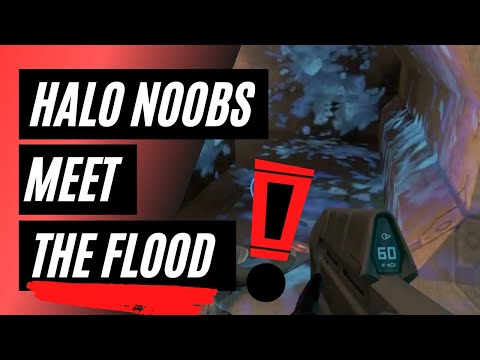 HALO noobs meet the flood FOR THE FIRST TIME - compilation