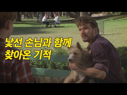 힘들지만 씩씩하게 살아온 세 모자 앞에 나타난 놀랍고도 따뜻한 기적 [영화리뷰/결말포함]