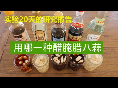 【Pickled Garlic Cloves】 用6张图, 5瓶醋实验20天【腊八蒜用哪种醋好】干货研究报告--怎样做腊八蒜,  吃蒜最抗菌 【水柔私厨】