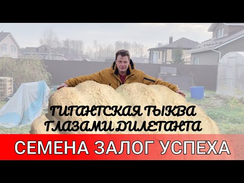 азы выращивания гигантской тыквы глазами дилетанта или как корабль назовешь так оно и поплывет семен