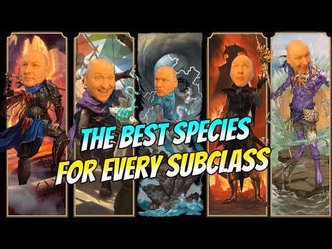Best Species for Every Subclass in Dnd 5 5