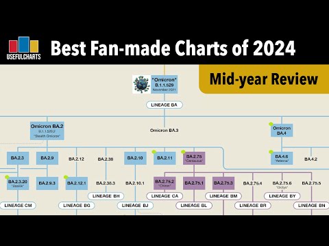 Best Fan-made Charts of 2024 | Mid-year Review