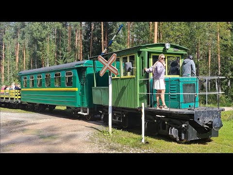 Тепловозик ОНЕЖЕЦ узкоколейка #эстония #trainspotting #railfan #узкоколейка