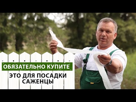Подготовка к посадке плодовых деревьев и кустарников.