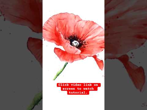 Game changing techniques to paint a poppy in Watercolour #Watercolour #Watercolor