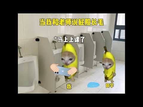 沒有思考的正義才最純真!#貓meme #正能量 #真實事件 #見義勇為