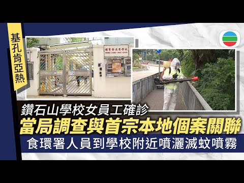 基孔肯雅熱｜當局調查鑽石山學校員工感染源頭　學校已暫停操場戶外活動｜香港新聞｜無綫新聞｜TVB News｜2025/10/28
