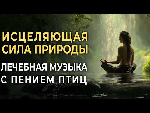 111гц Божественный свет природы + Звуки Леса и птиц 🌿 Глубокая музыка для сна, исцеления и отдыха