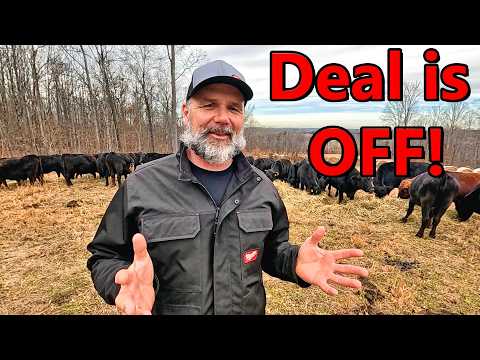 Viewers Were Right…Too Many CRAZY RED FLAGS! Property Deal is OFF!