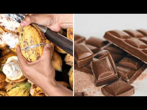 How Chocolate is Made: Step-by-Step from Bean to Bar! Chocolate Journey 🍫