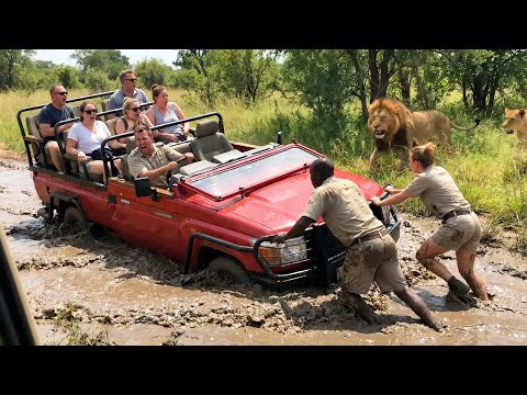 Safari Trips Went Horribly Wrong