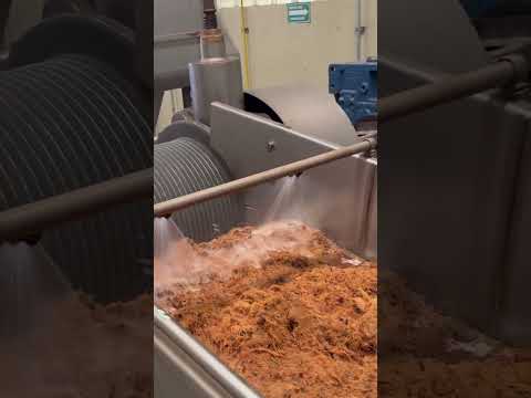 Rinsing Freshly Milled Roasted Agave Sugars for Fermentation at Grupo Tequilero Mexico (NOM 1468)