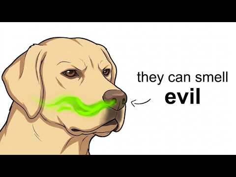How Dogs Recognize a Bad Person? (Science Explained)