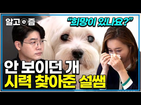 "극적으로 구조된 강아지 하지만..." 시력 잃은 줄 알았던 반려견 시력 찾아준 설쌤│세상에 나쁜 개는 없다│알고e즘