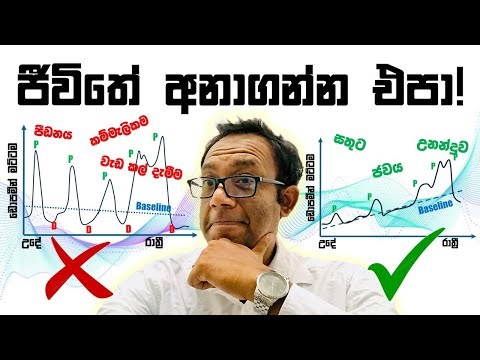 ජවබල සම්පන්න සතුටු දිනයකට මග තියෙන්නේ පුංචි විද්‍යාත්මක රහසක් ඇතුලේ!