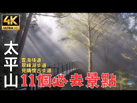 2025 Rare Taiwan March Snow Taiping Mountain In-depth Tour