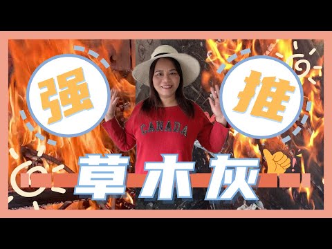 草木灰--最好的防虫钾肥，最简单的获取方法和使用技巧。