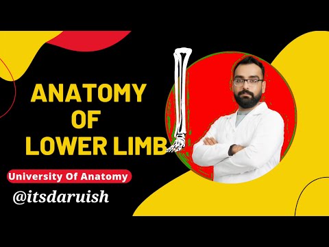 آموزش سه بعدی (3D) آناتومی اندام تحتانی جلسه اول مبحث استخوان لگن