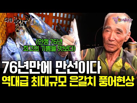 [다큐공감] 통통하니 살이 바짝 오른 은갈치의 향연! 1m 대물 은갈치만 잡는 베테랑 어부들의 만선! ㅣKBS 2017.09.16