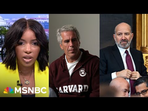 Rep. Jasmine Crockett reacts to 'bombshell' remarks from Commerce Sec. Lutnick on Epstein